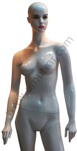 UD126 Bayan Vitrin Mankeni