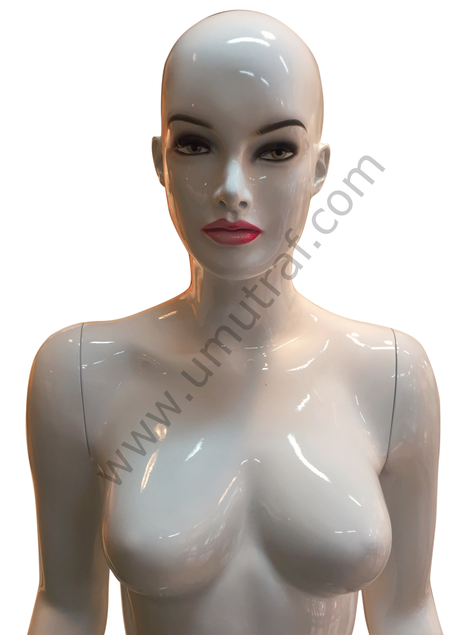 UD127 Bayan Vitrin Mankeni